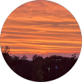 Jade Stevens